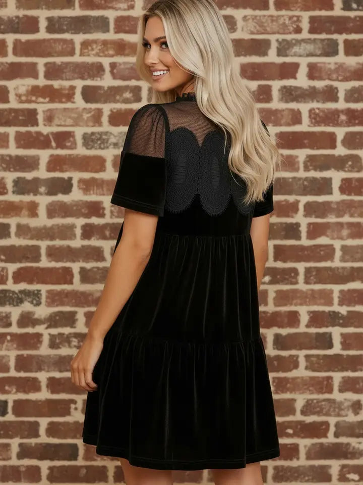 Solid Embroidered Mesh Patchwork Velvet Mini Dress
